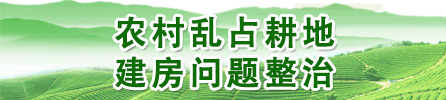 農(nóng)村亂占耕地建房問題整治